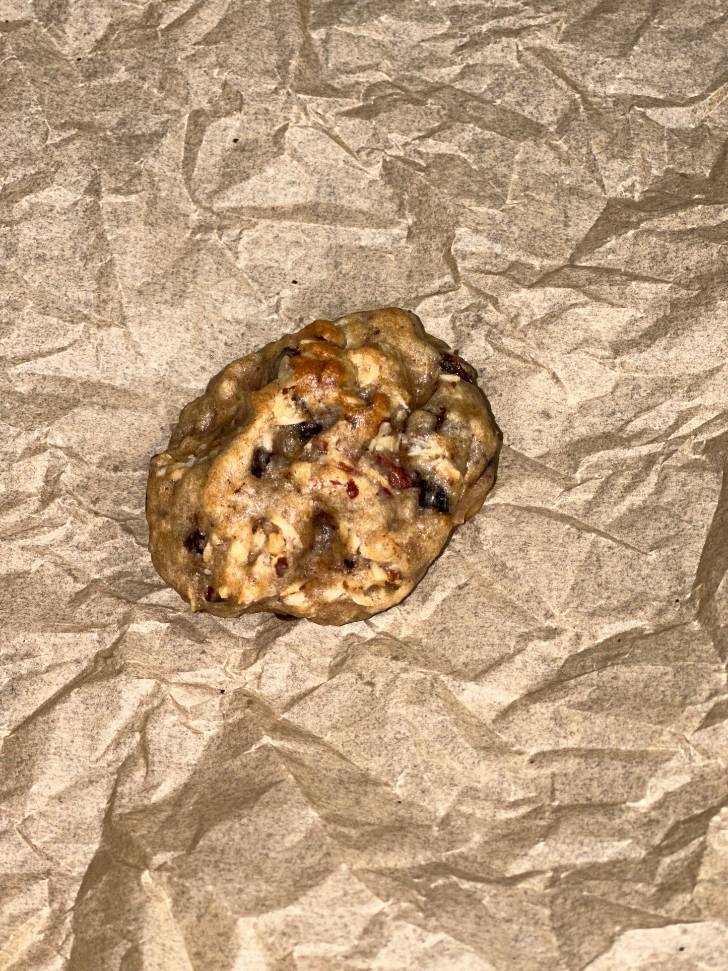 Oatmeal Raisi