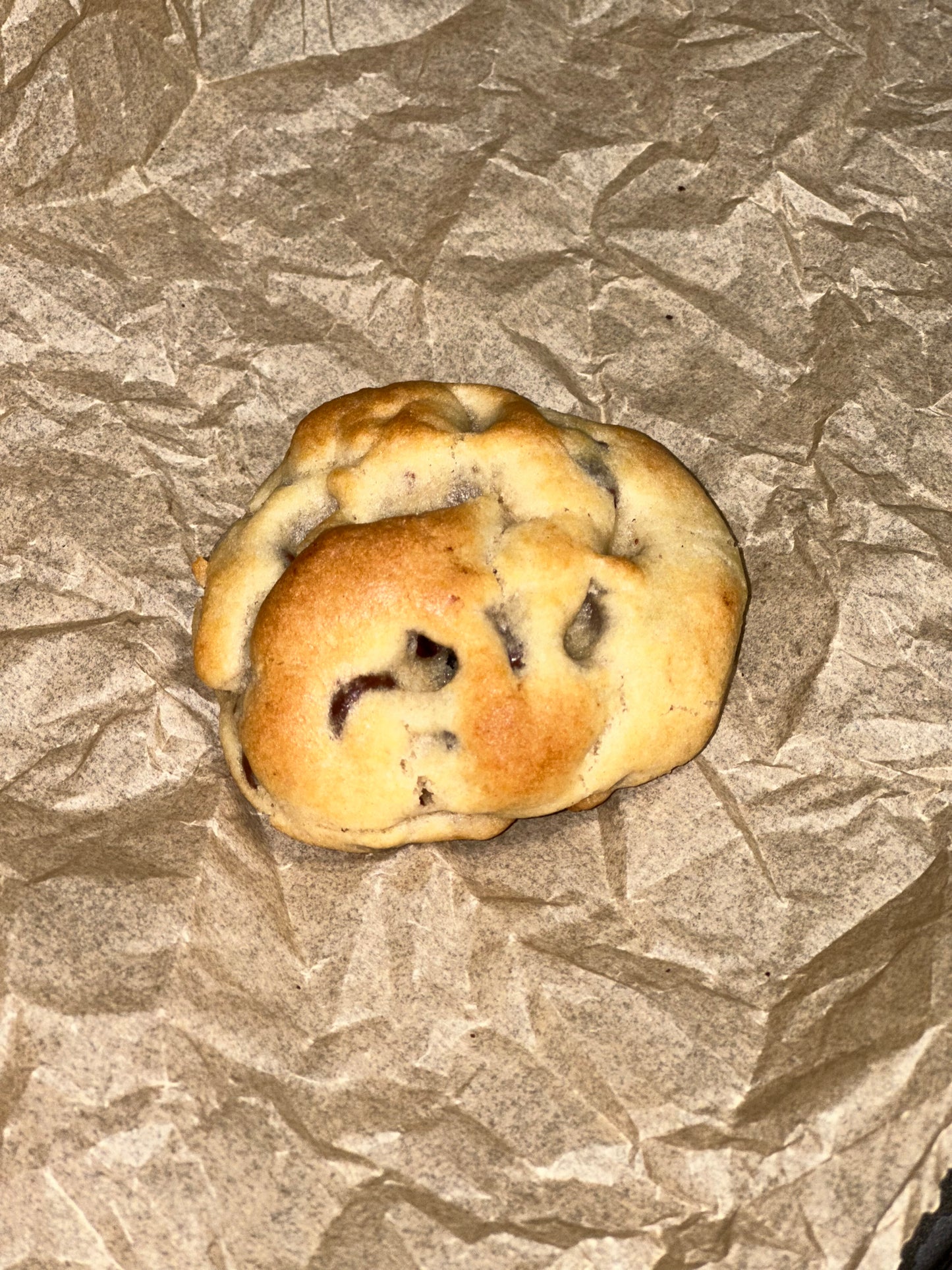 Chocolate Chip
