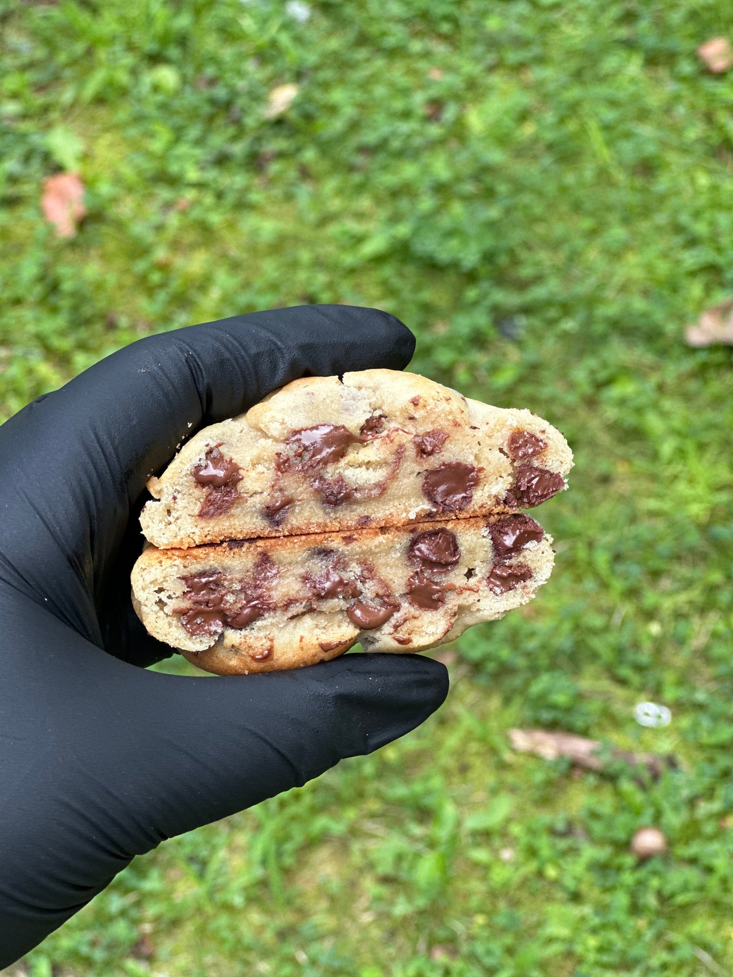 Chocolate Chip