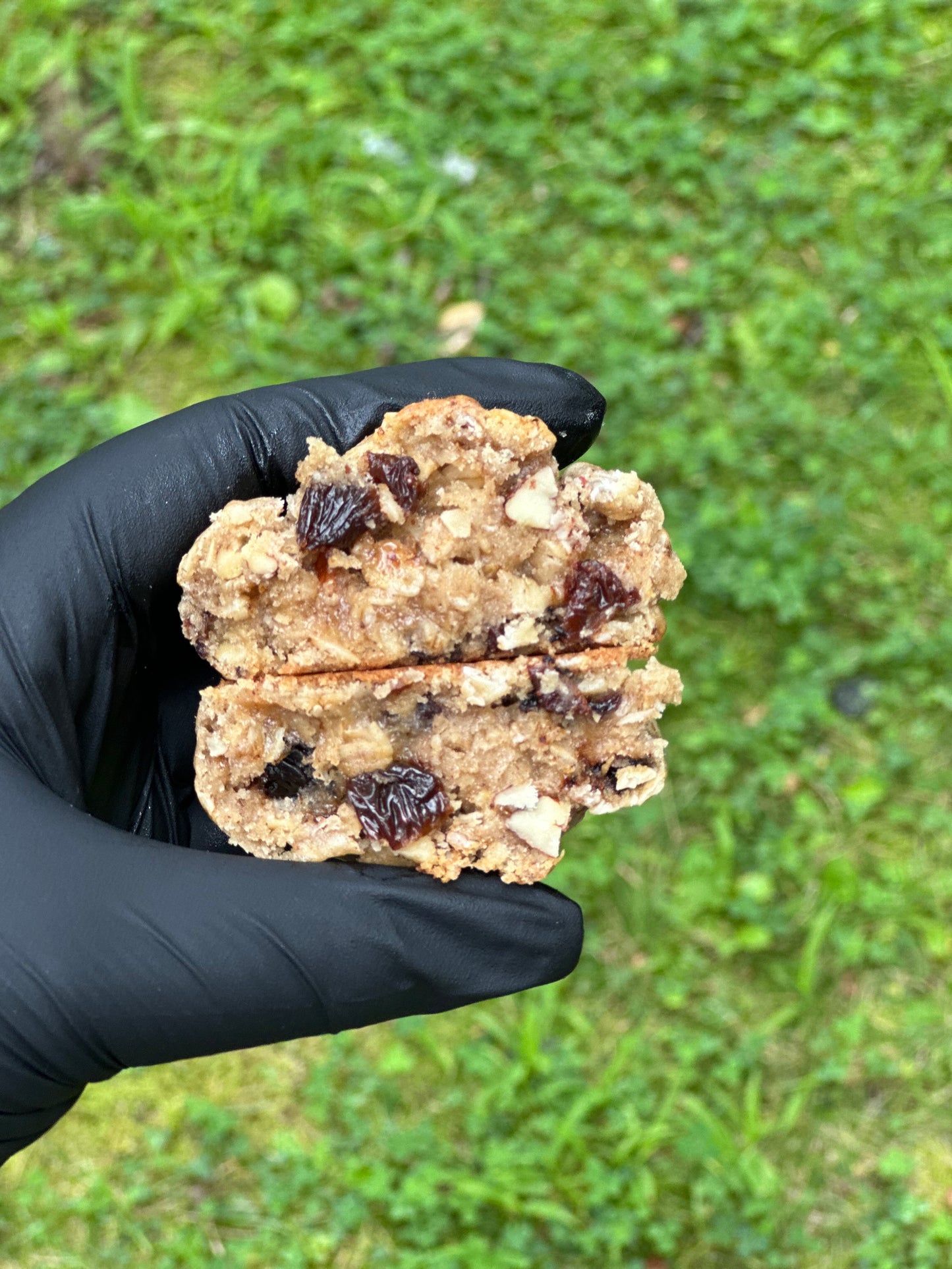 Oatmeal Raisi